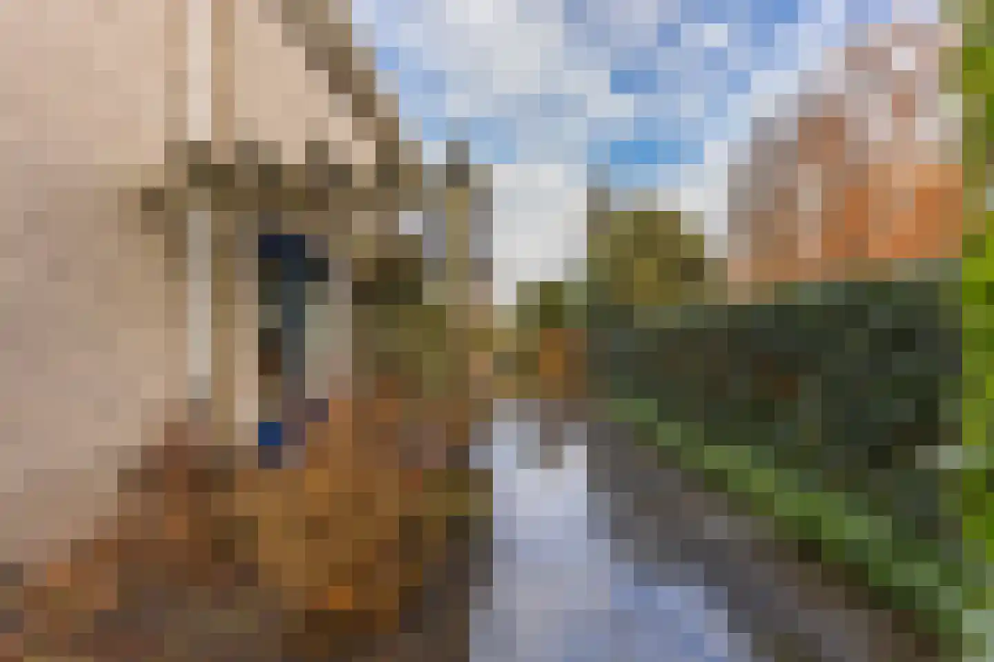 Laan van Zeeman 12 b Heiloo thumbnail 53