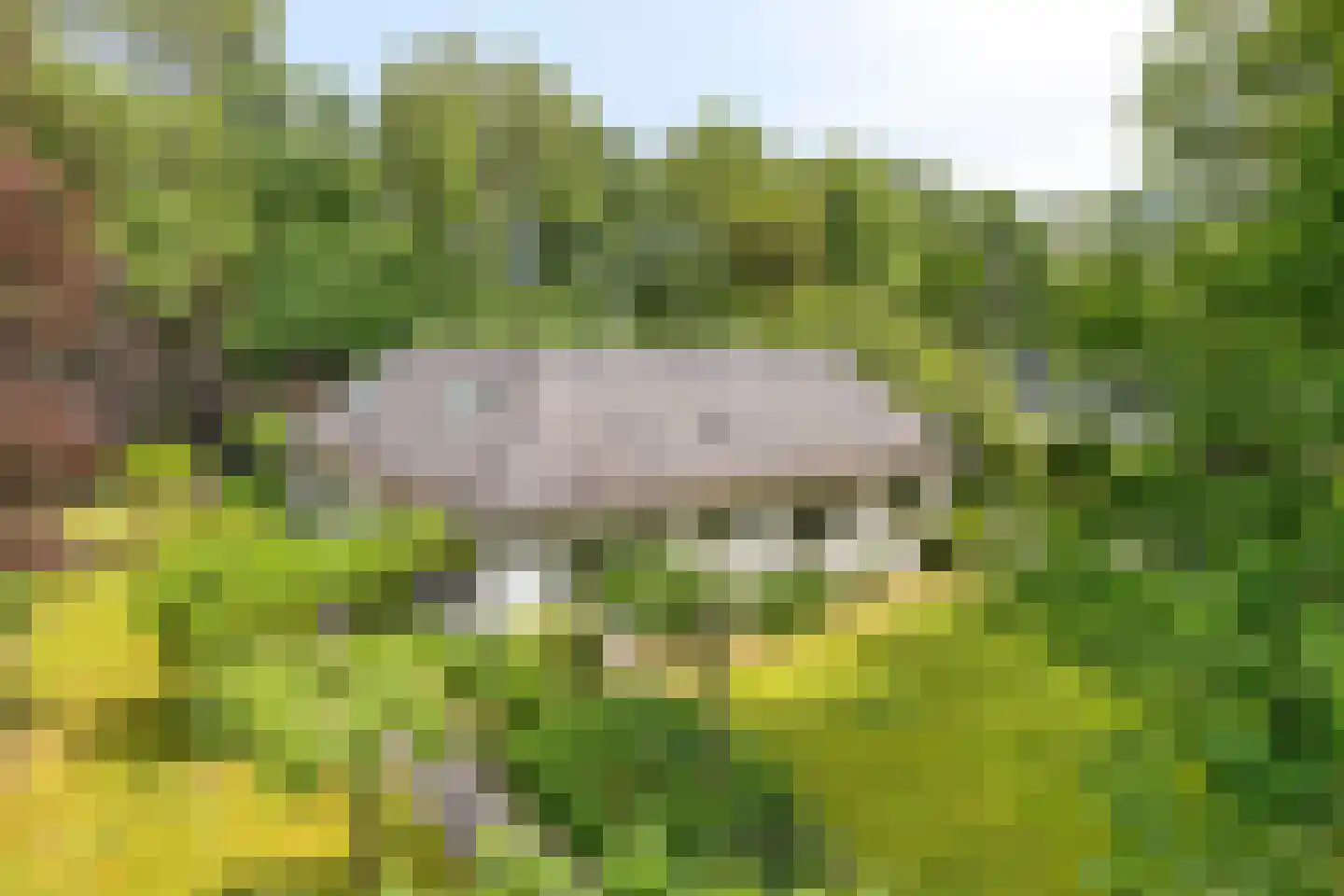 Laan van Zeeman 22 Heiloo