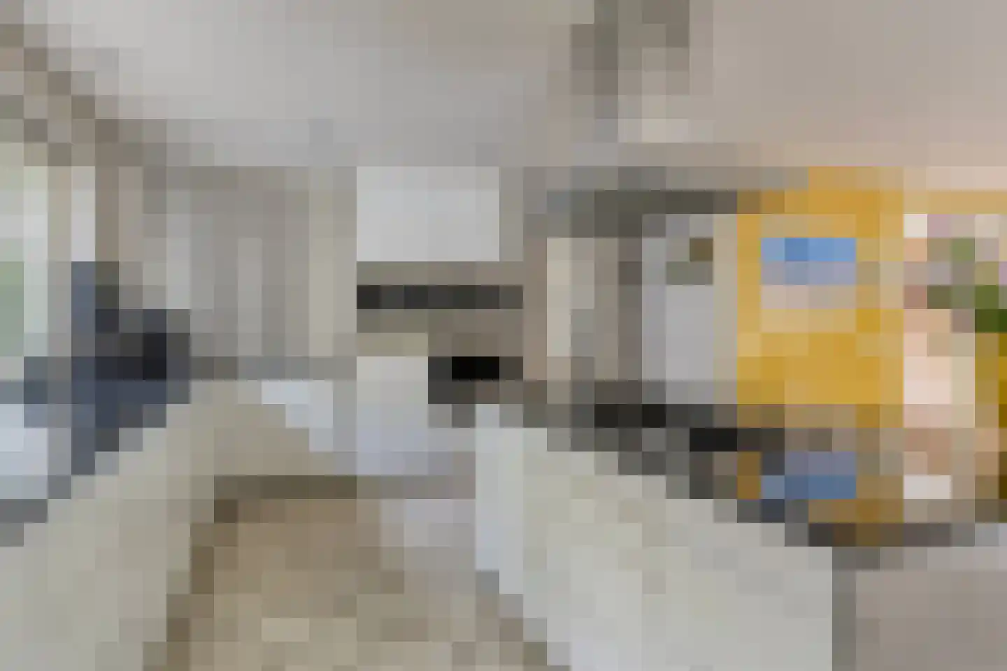 Laan van Zeeman 22 Heiloo thumbnail 18