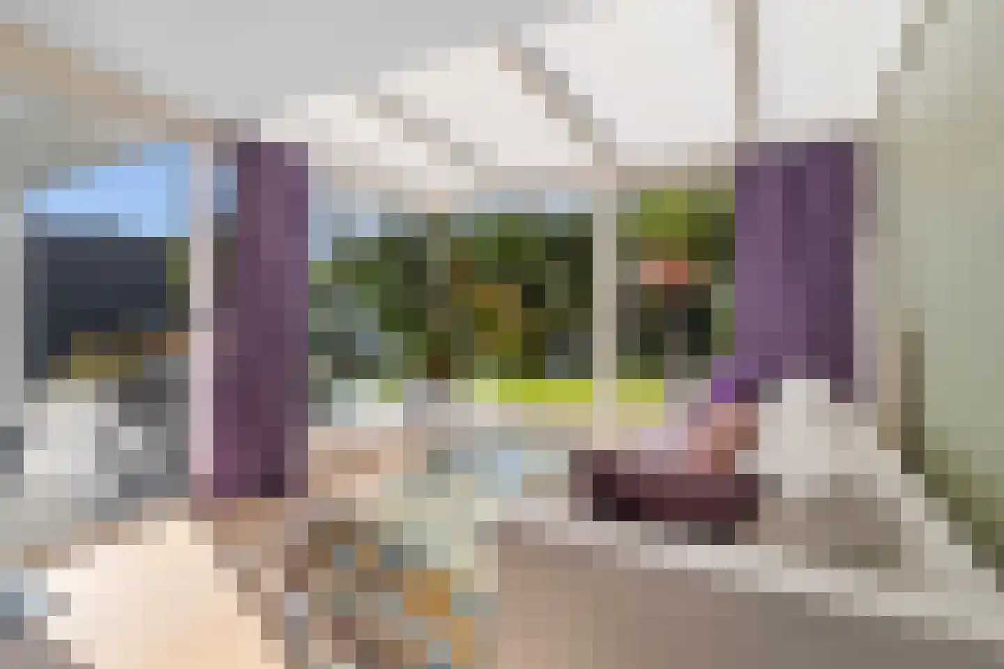 Laan van Zeeman 23 Heiloo thumbnail 17