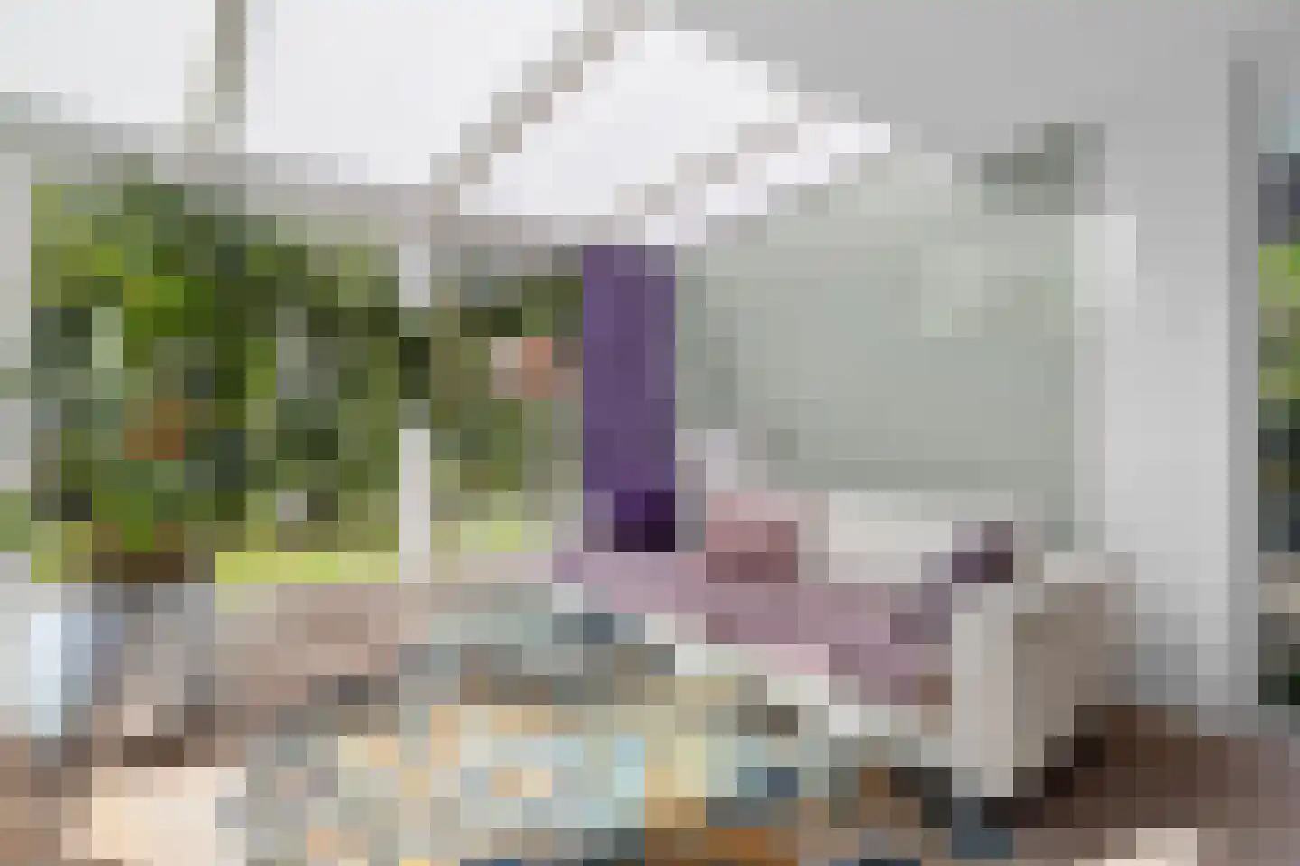 Laan van Zeeman 23 Heiloo thumbnail 18