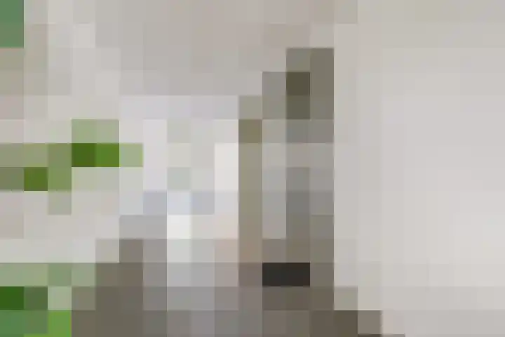 Laan van Zonnehoeve 14 Apeldoorn thumbnail 10