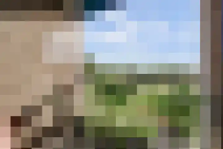 Laan van Zonnehoeve 14 Apeldoorn thumbnail 17