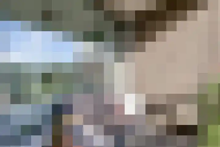 Laan van Zonnehoeve 14 Apeldoorn thumbnail 19