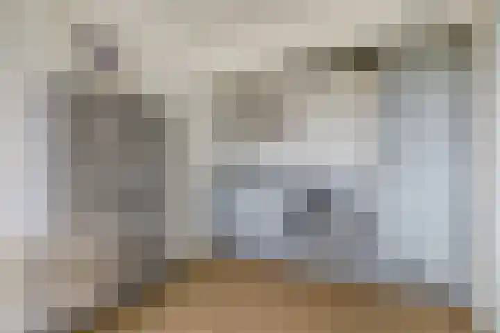 Laan van Zonnehoeve 14 Apeldoorn thumbnail 23