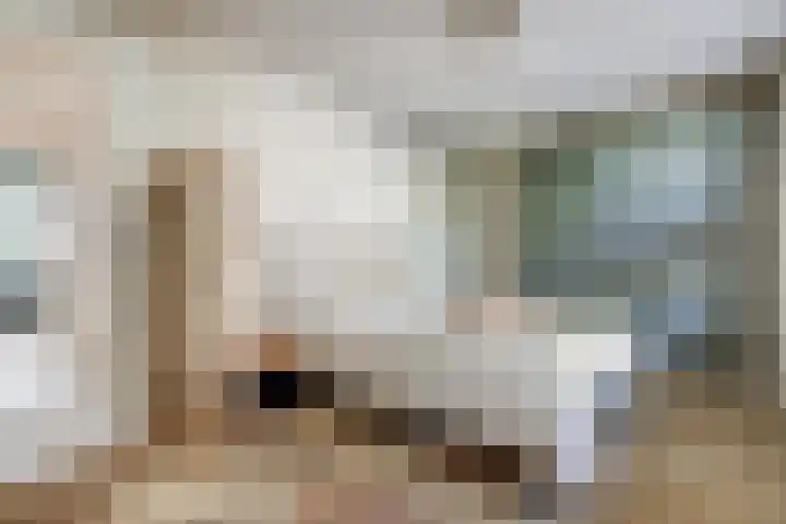 Laan van Zonnehoeve 14 Apeldoorn thumbnail 26