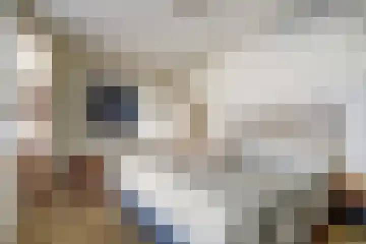 Laan van Zonnehoeve 14 Apeldoorn thumbnail 27