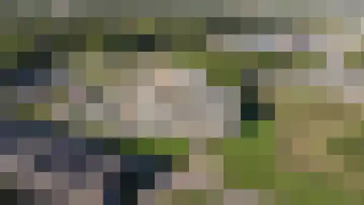 Laan van Zonnehoeve 14 Apeldoorn thumbnail 35