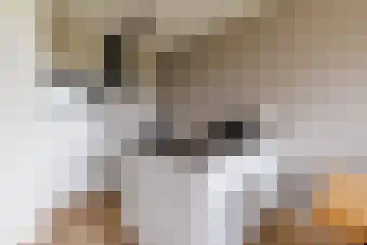 Laan van Zonnehoeve 18 Apeldoorn thumbnail 12