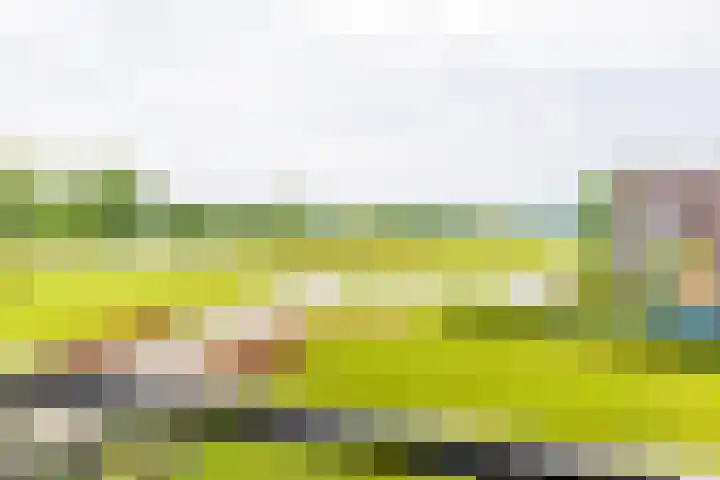 Laan van Zonnehoeve 18 Apeldoorn thumbnail 16