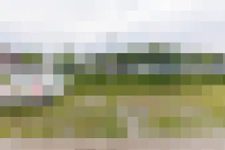 Laan van Zonnehoeve 18 Apeldoorn thumbnail 20