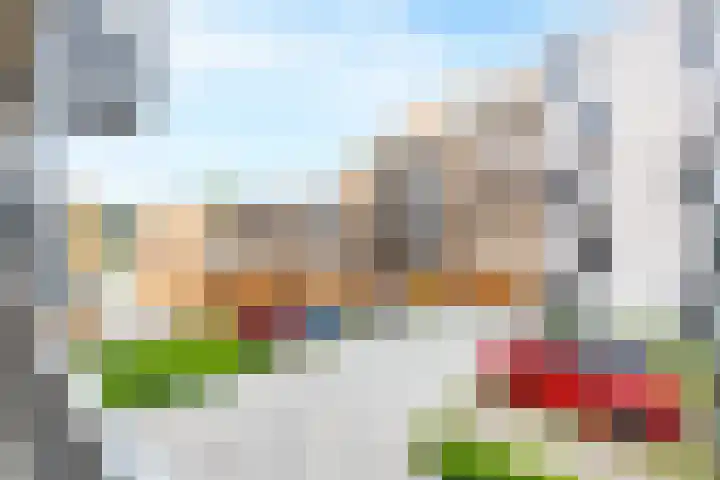 Laan van Zonnehoeve 18 Apeldoorn thumbnail 21