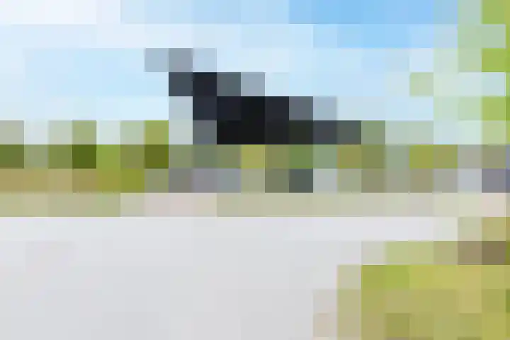 Laan van Zonnehoeve 18 Apeldoorn thumbnail 24