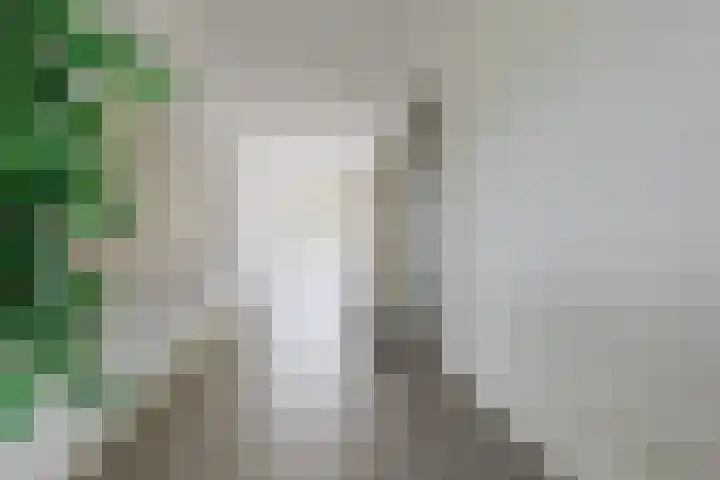 Laan van Zonnehoeve 18 Apeldoorn thumbnail 6