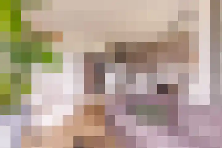 Laan van Zonnehoeve 18 Apeldoorn thumbnail 8