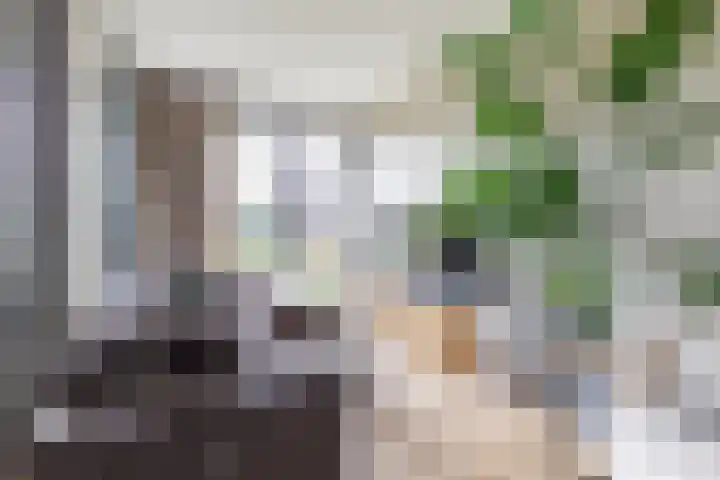 Laan van Zonnehoeve 18 Apeldoorn thumbnail 9