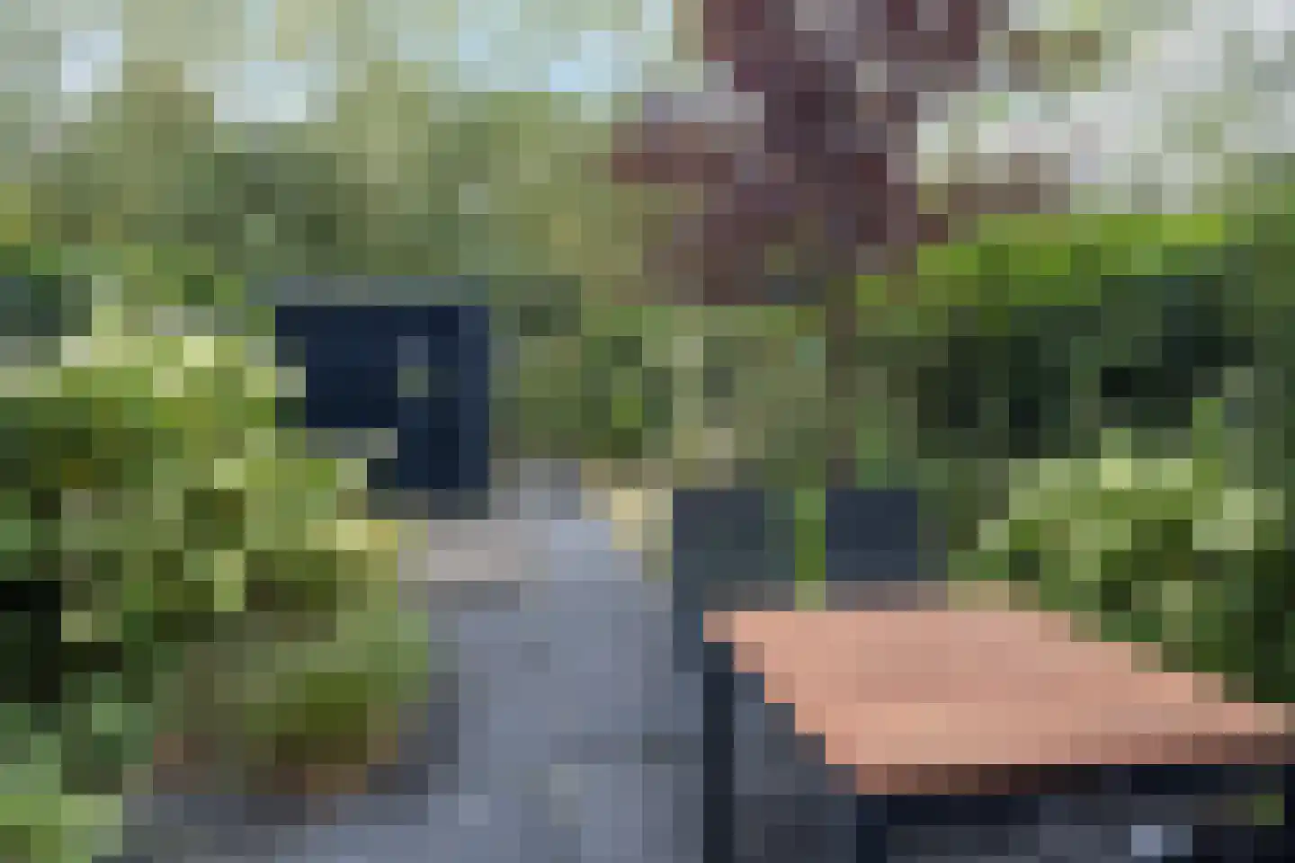 Laan van Zonnehoeve 210 Apeldoorn thumbnail 15