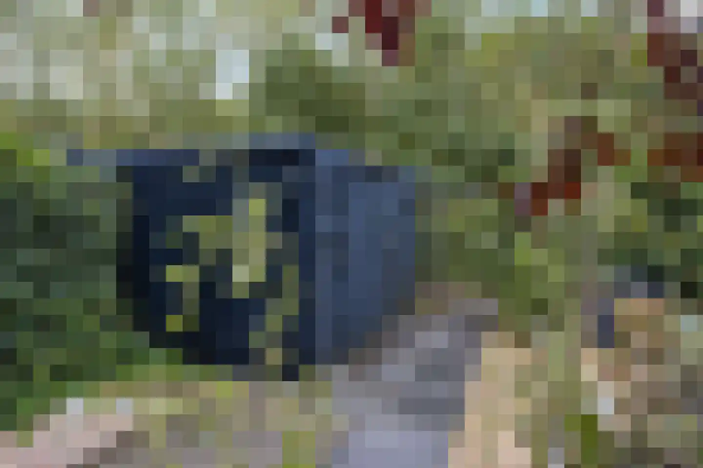 Laan van Zonnehoeve 210 Apeldoorn thumbnail 16