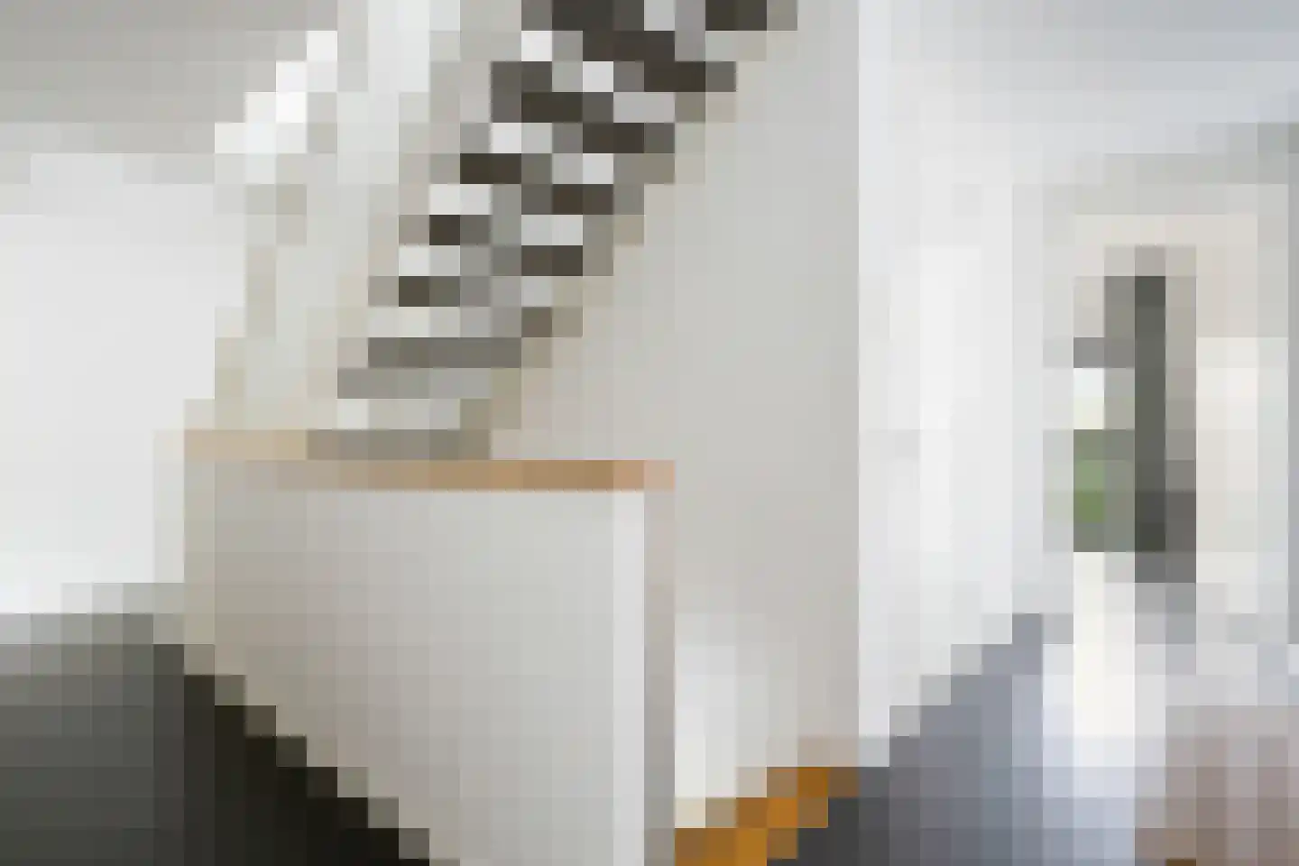 Laan van Zonnehoeve 210 Apeldoorn thumbnail 25