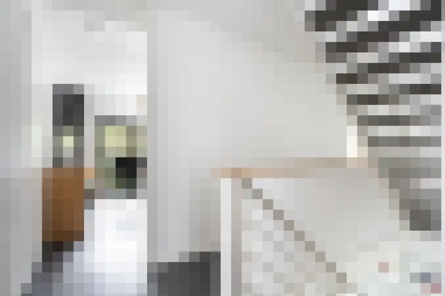 Laan van Zonnehoeve 210 Apeldoorn thumbnail 32