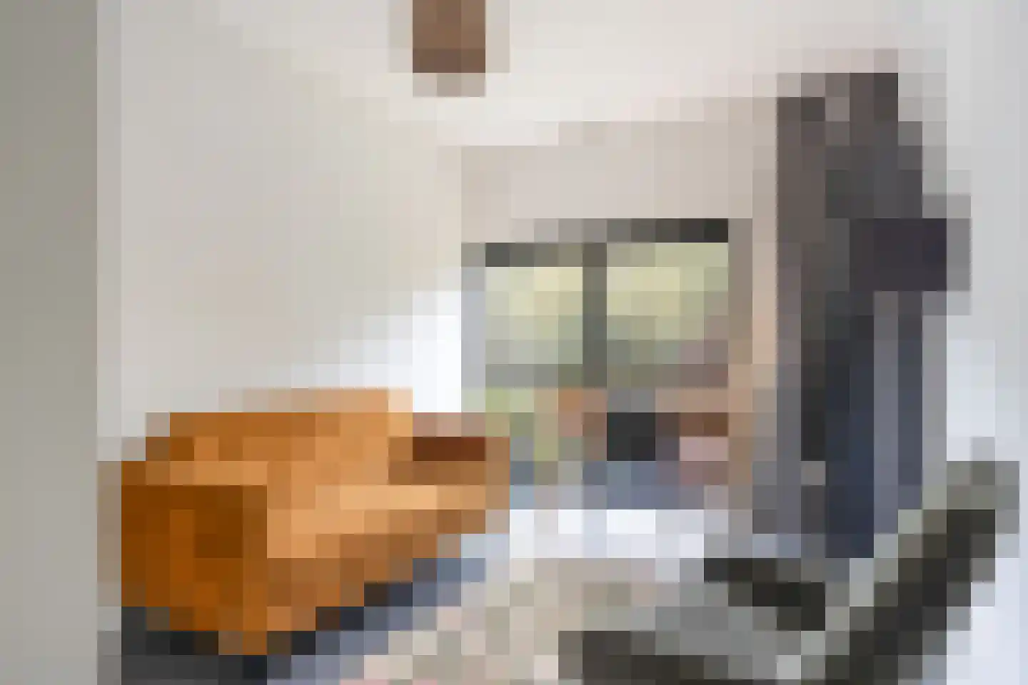Laan van Zonnehoeve 210 Apeldoorn thumbnail 34