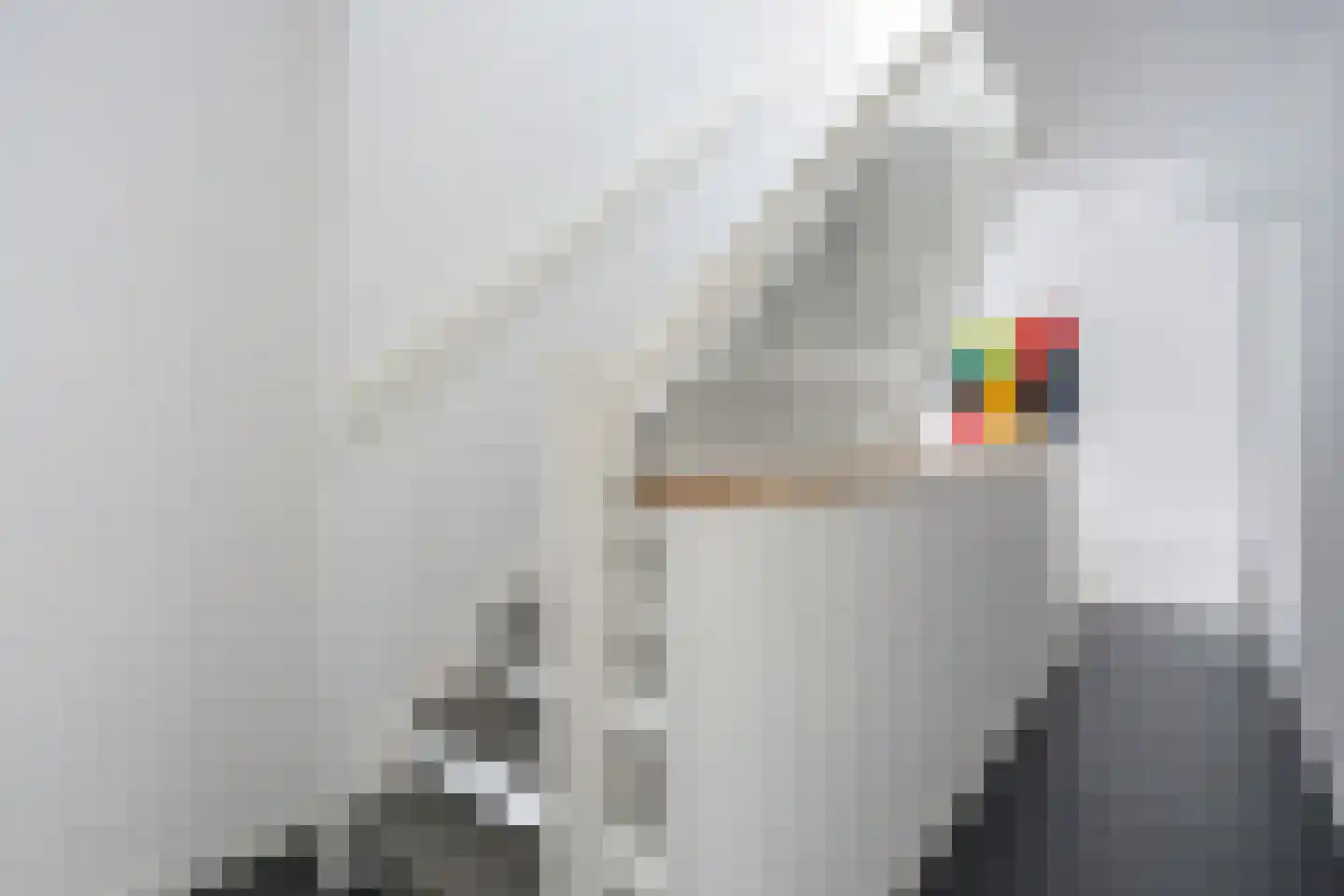 Laan van Zonnehoeve 210 Apeldoorn thumbnail 35