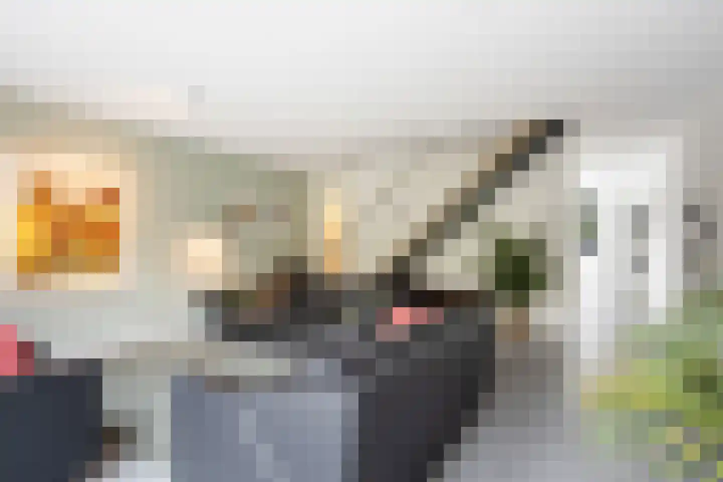 Laan van Zonnehoeve 210 Apeldoorn thumbnail 5