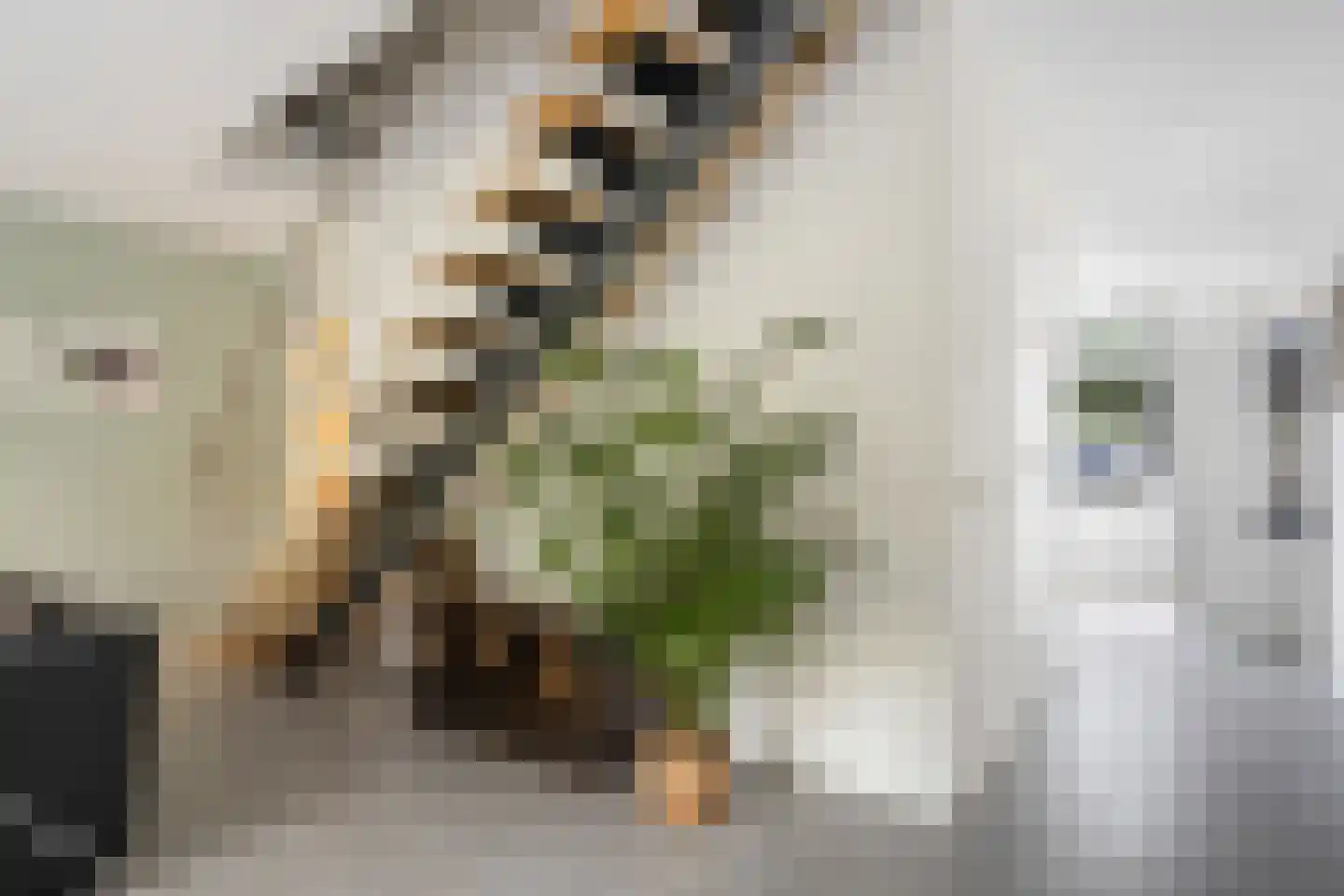 Laan van Zonnehoeve 210 Apeldoorn thumbnail 8