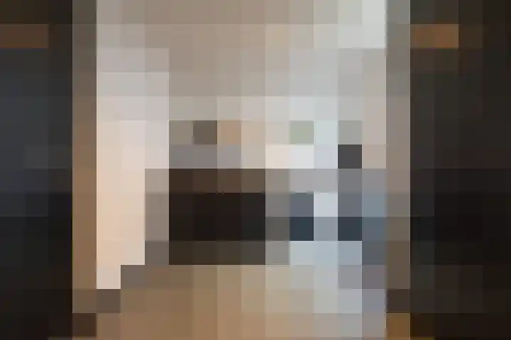 Laan van Zonnehoeve 213 Apeldoorn thumbnail 14