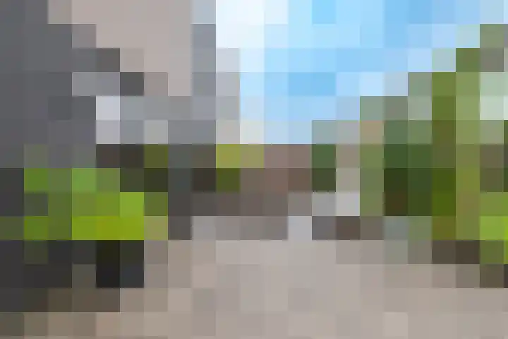 Laan van Zonnehoeve 213 Apeldoorn thumbnail 15