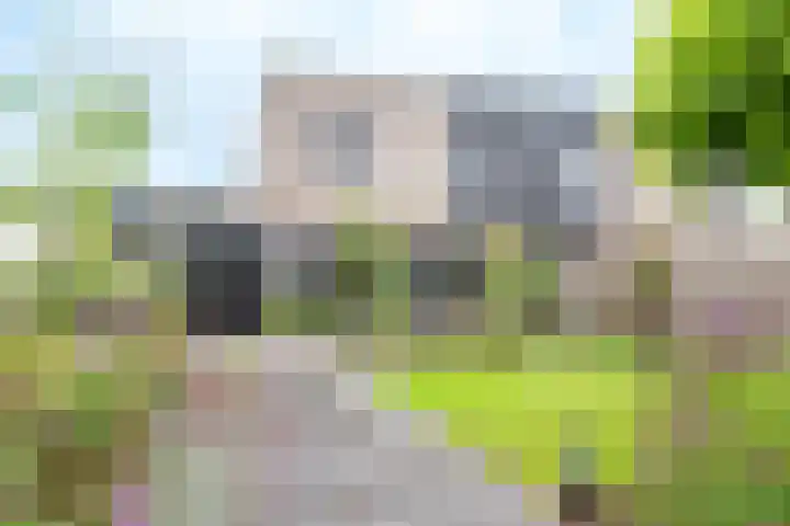 Laan van Zonnehoeve 213 Apeldoorn thumbnail 16