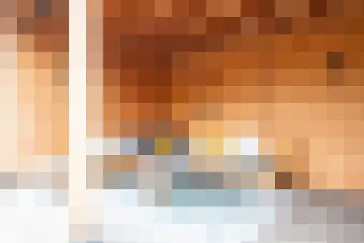Laan van Zonnehoeve 213 Apeldoorn thumbnail 17