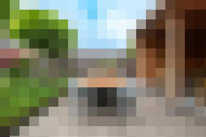 Laan van Zonnehoeve 213 Apeldoorn thumbnail 19