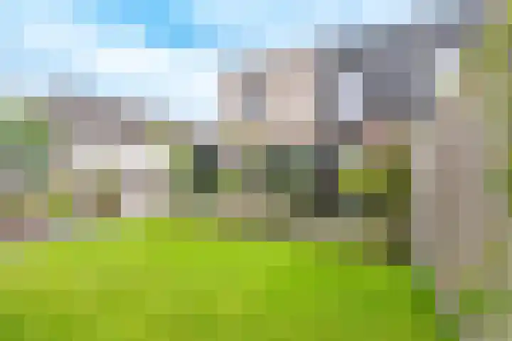 Laan van Zonnehoeve 213 Apeldoorn thumbnail 20