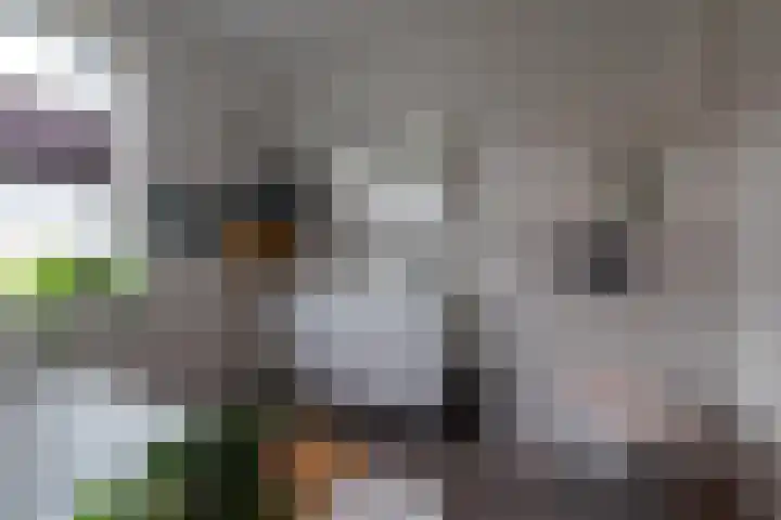 Laan van Zonnehoeve 213 Apeldoorn thumbnail 27