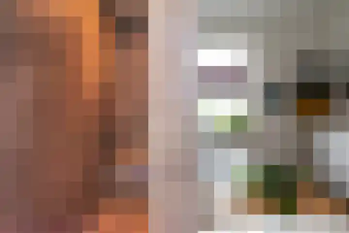 Laan van Zonnehoeve 213 Apeldoorn thumbnail 28