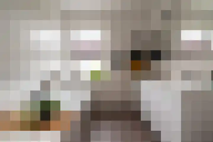 Laan van Zonnehoeve 213 Apeldoorn thumbnail 29