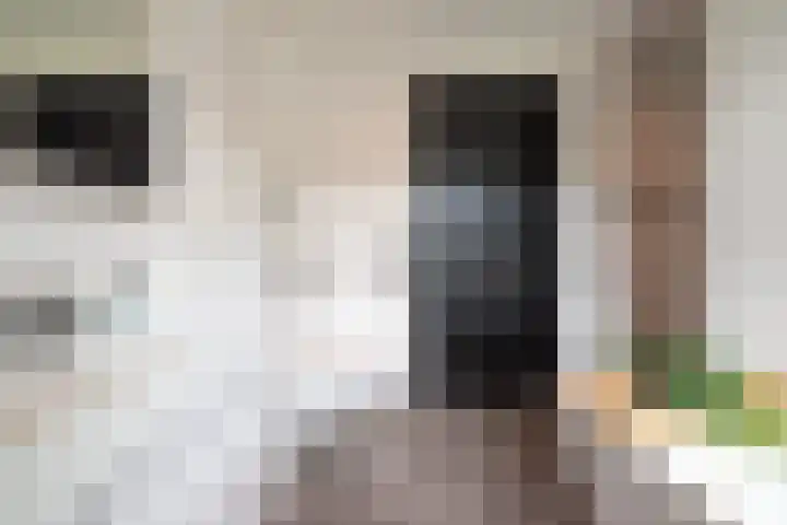 Laan van Zonnehoeve 213 Apeldoorn thumbnail 30