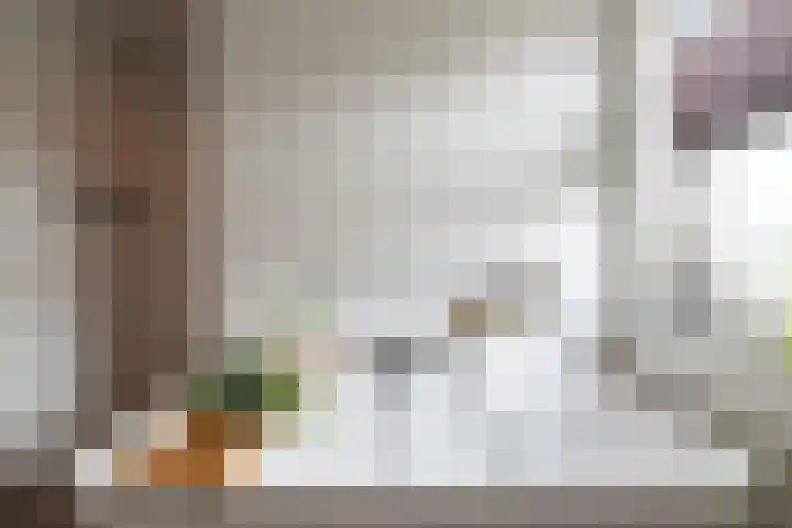 Laan van Zonnehoeve 213 Apeldoorn thumbnail 31