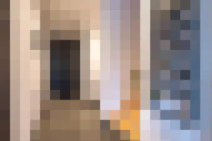 Laan van Zonnehoeve 213 Apeldoorn thumbnail 5
