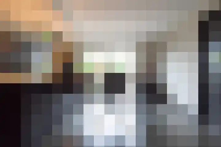 Laan van Zonnehoeve 213 Apeldoorn thumbnail 9