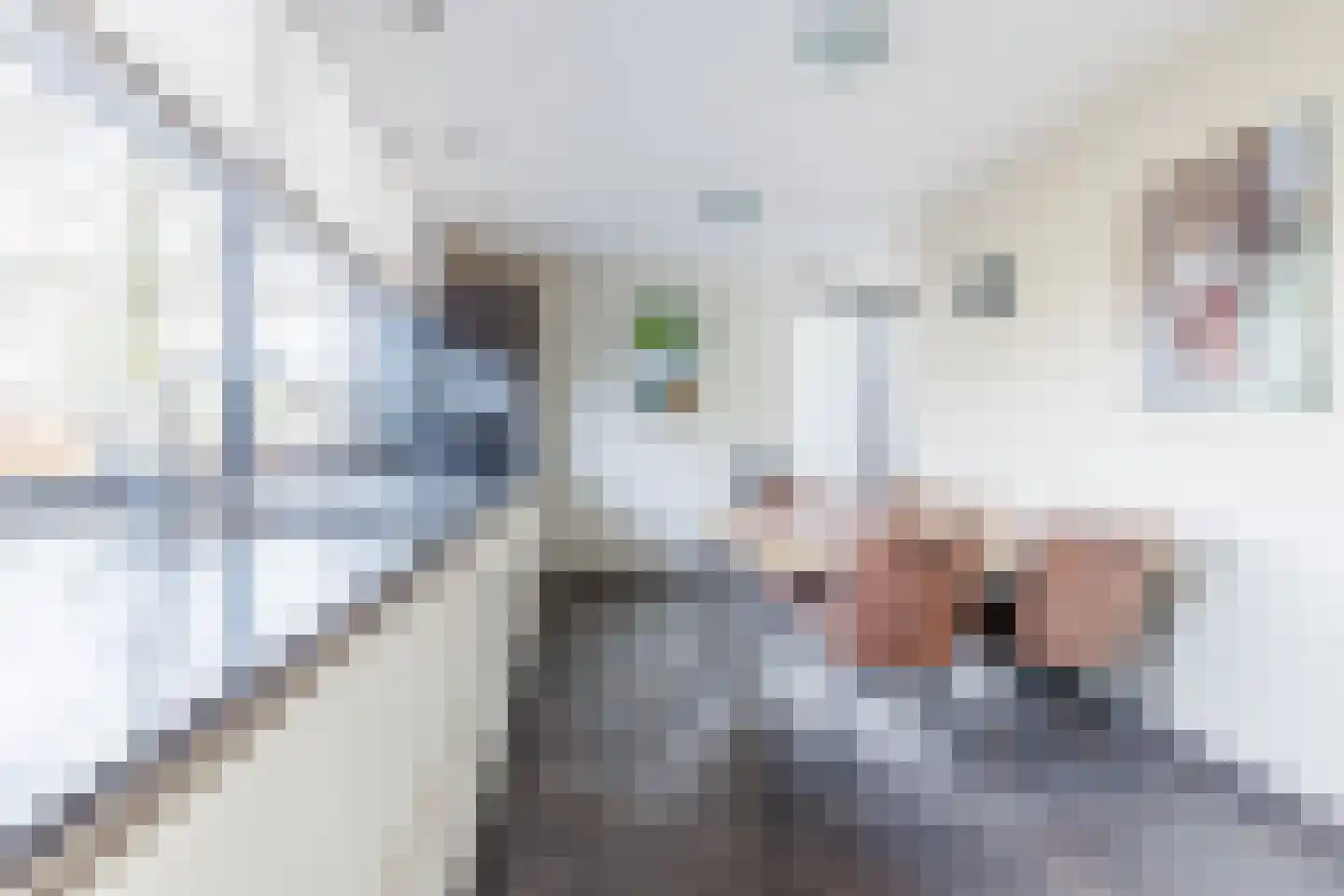 Laan van Zonnehoeve 246 Apeldoorn thumbnail 13