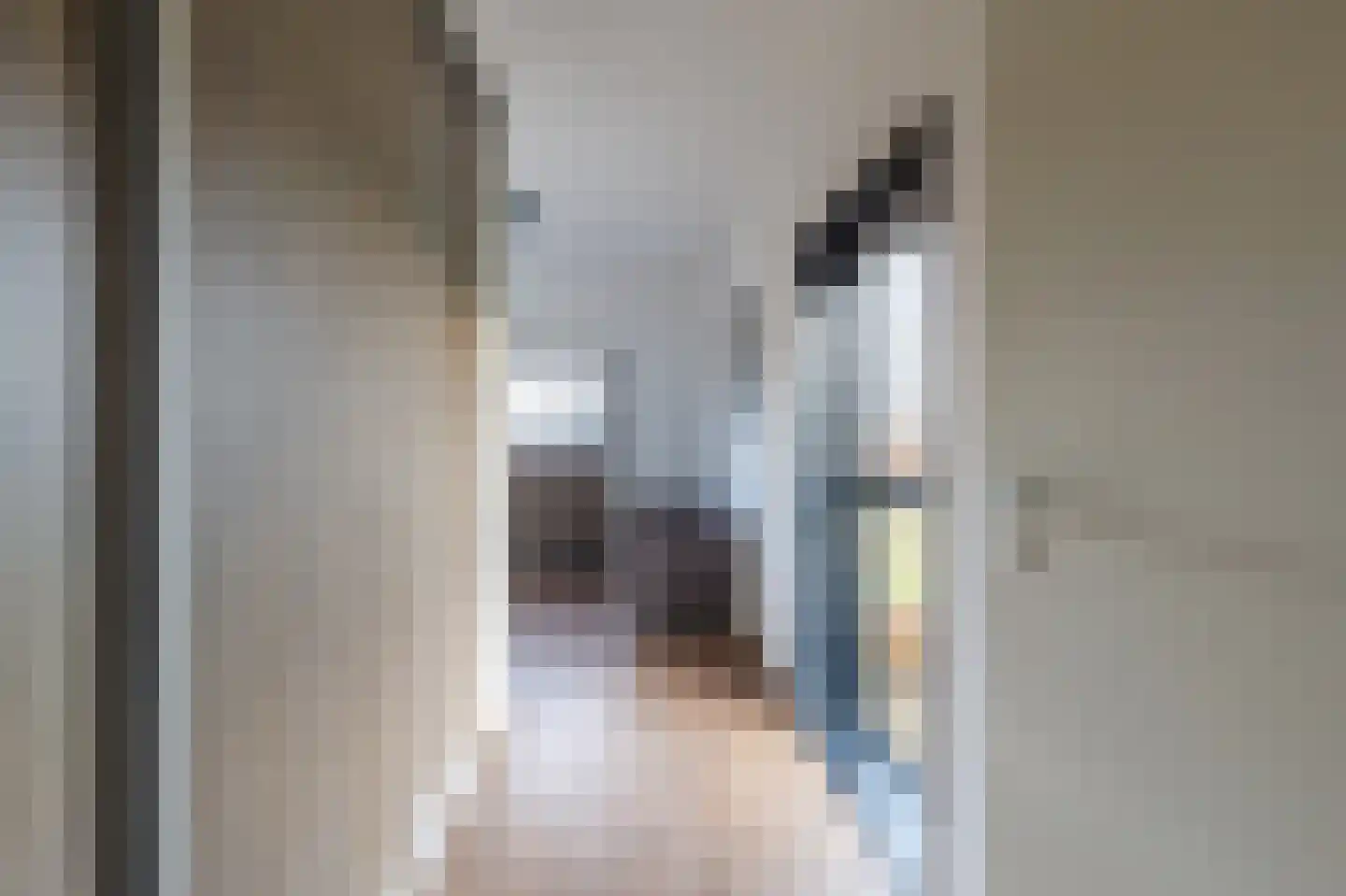 Laan van Zonnehoeve 246 Apeldoorn thumbnail 15