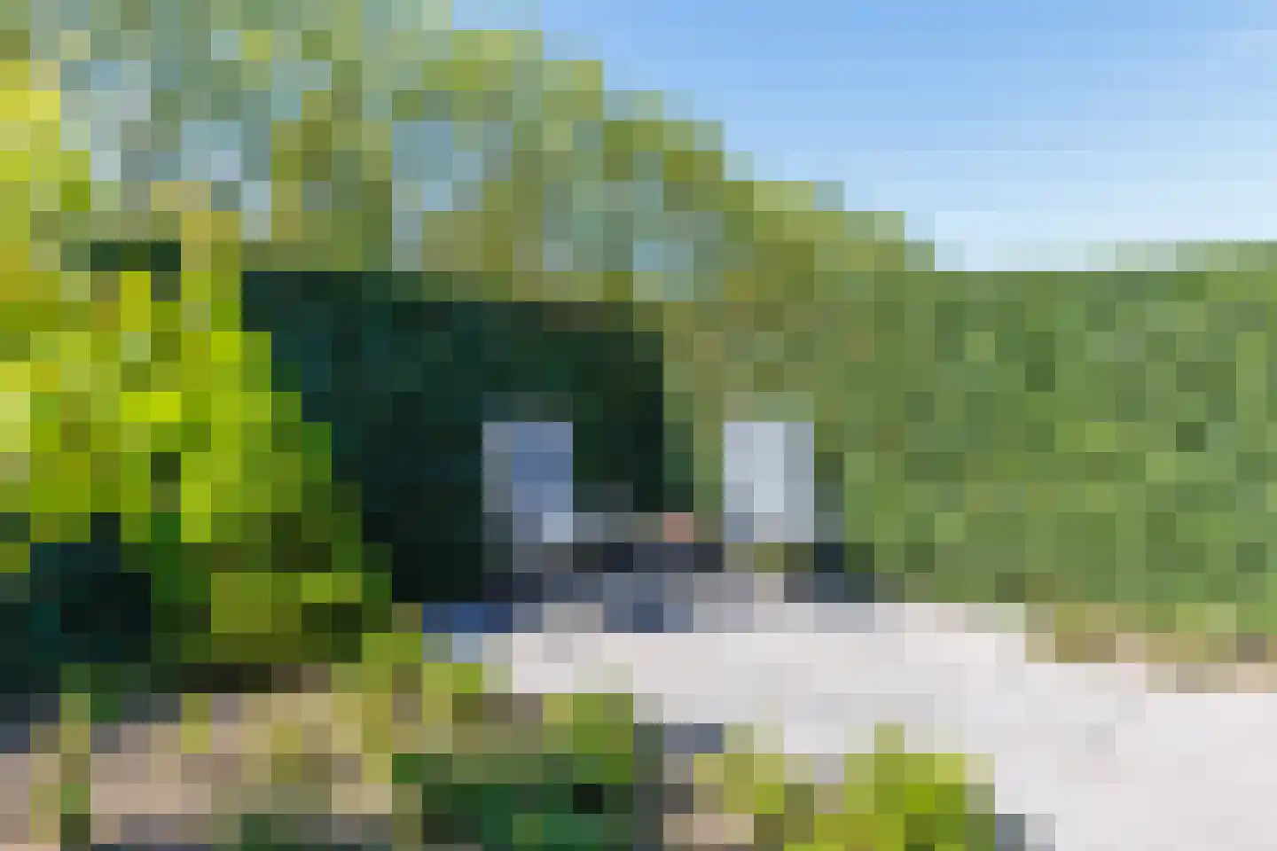 Laan van Zonnehoeve 246 Apeldoorn thumbnail 30