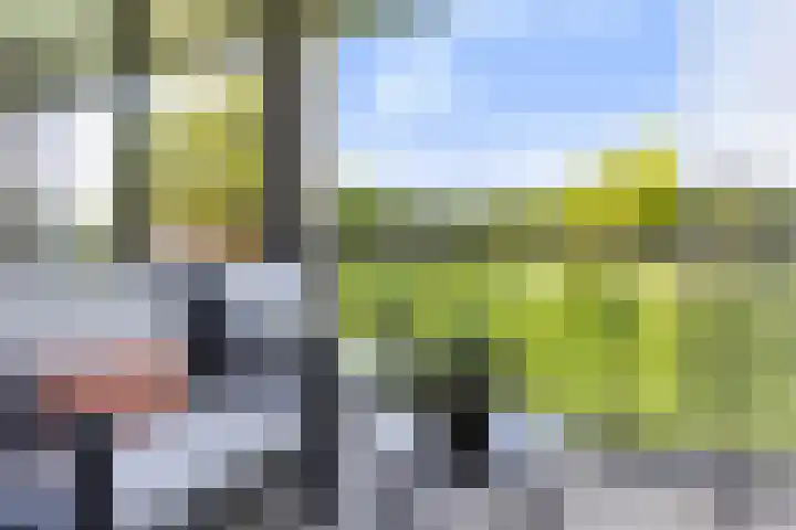 Laan van Zonnehoeve 70 Apeldoorn thumbnail 11