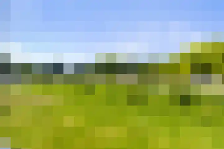 Laan van Zonnehoeve 70 Apeldoorn thumbnail 12