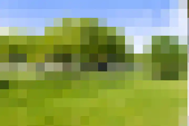 Laan van Zonnehoeve 70 Apeldoorn thumbnail 13