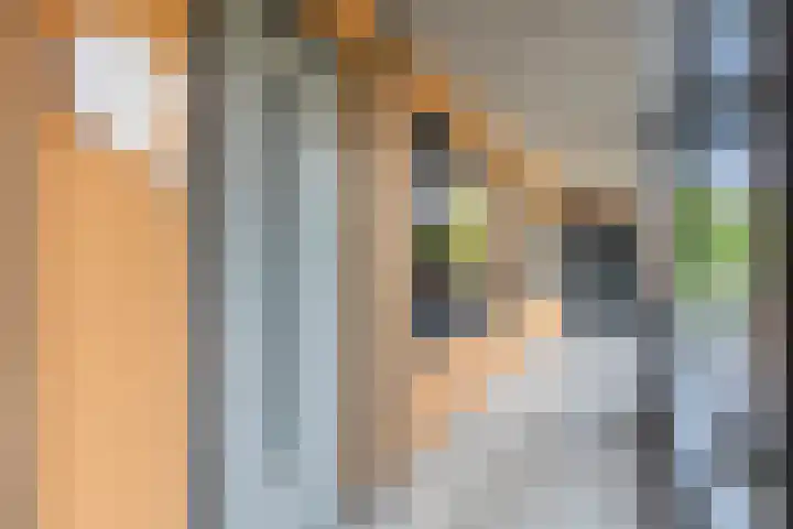 Laan van Zonnehoeve 70 Apeldoorn thumbnail 22