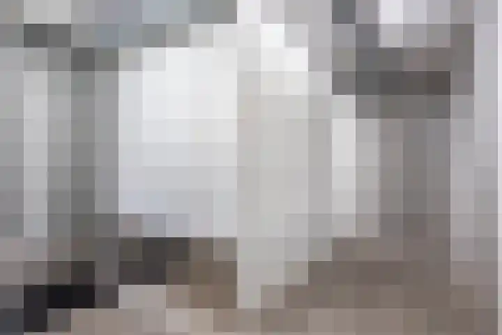Laan van Zonnehoeve 70 Apeldoorn thumbnail 27