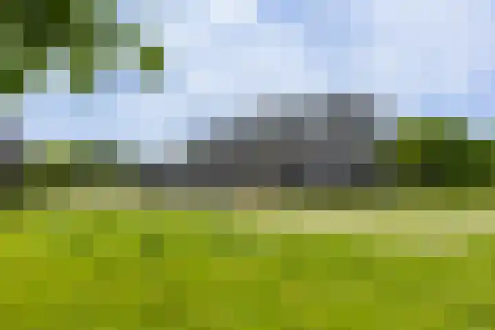 Laan van Zonnehoeve 70 Apeldoorn thumbnail 31